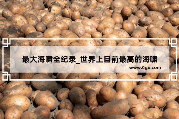 最大海啸全纪录_世界上目前最高的海啸