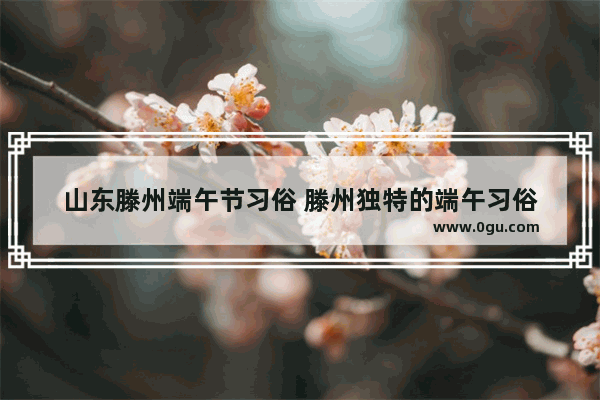 山东滕州端午节习俗 滕州独特的端午习俗
