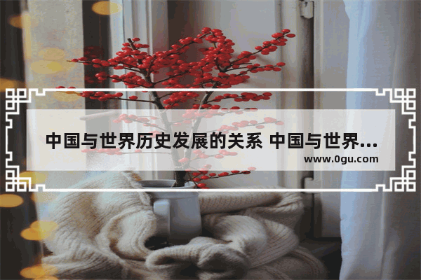 中国与世界历史发展的关系 中国与世界历史发展的关系