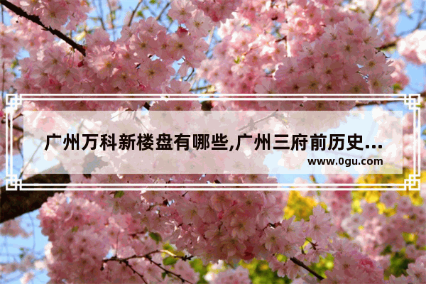 广州万科新楼盘有哪些,广州三府前历史人物