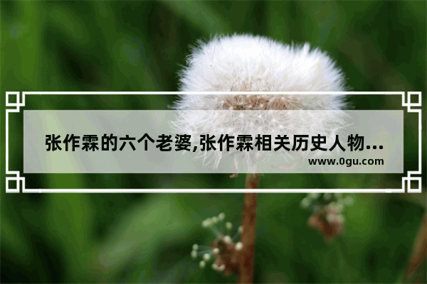 张作霖的六个老婆,张作霖相关历史人物事迹
