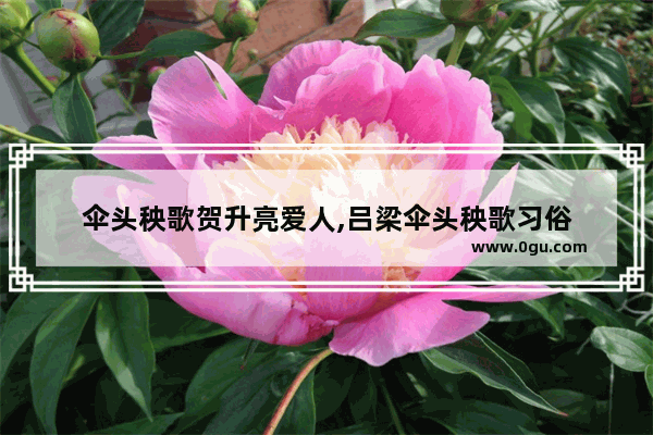 伞头秧歌贺升亮爱人,吕梁伞头秧歌习俗