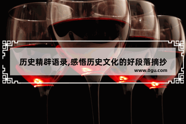 历史精辟语录,感悟历史文化的好段落摘抄