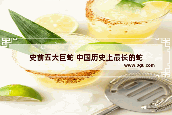 史前五大巨蛇 中国历史上最长的蛇