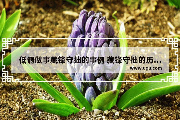 低调做事藏锋守拙的事例 藏锋守拙的历史人物
