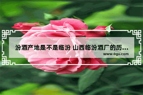 汾酒产地是不是临汾 山西临汾酒厂的历史文化