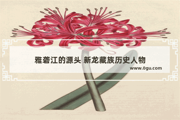 雅砻江的源头 新龙藏族历史人物