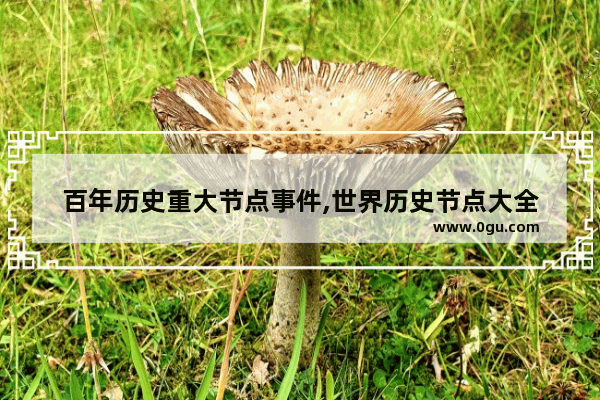 百年历史重大节点事件,世界历史节点大全