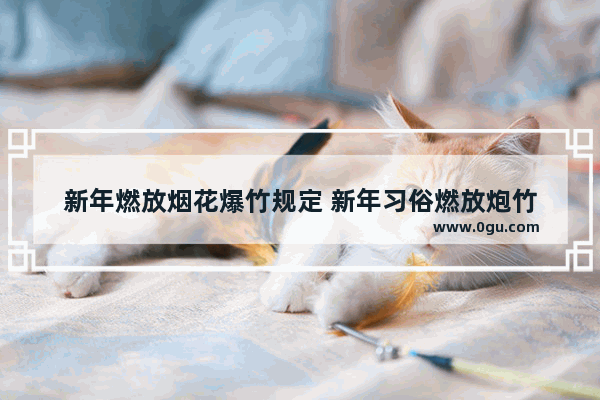 新年燃放烟花爆竹规定 新年习俗燃放炮竹