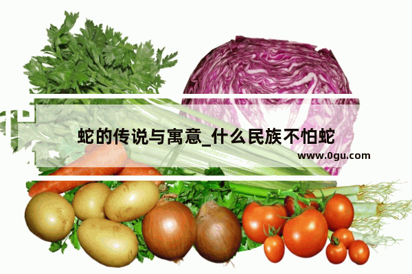 蛇的传说与寓意_什么民族不怕蛇