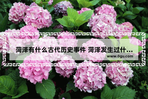 菏泽有什么古代历史事件 菏泽发生过什么历史故事