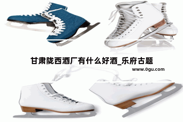 甘肃陇西酒厂有什么好酒_乐府古题