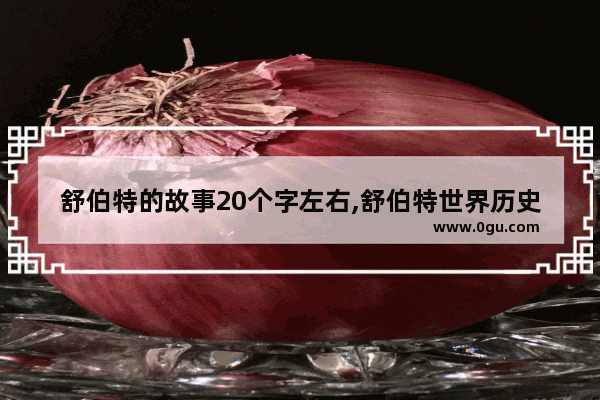 舒伯特的故事20个字左右,舒伯特世界历史故事