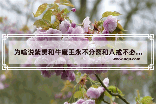 为啥说紫熏和牛魔王永不分离和八戒不必存在了和他们长相厮守_贾宝玉与林黛玉为什么不能在一起