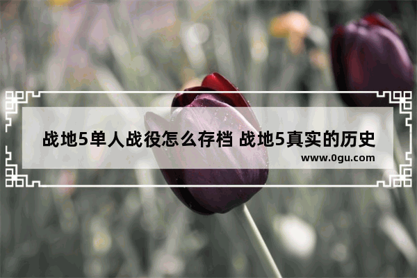 战地5单人战役怎么存档 战地5真实的历史故事