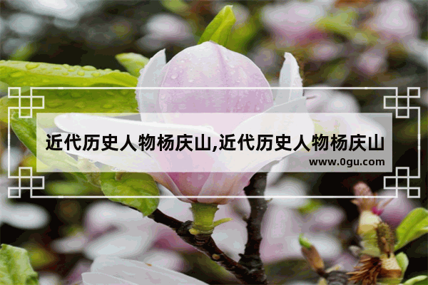 近代历史人物杨庆山,近代历史人物杨庆山
