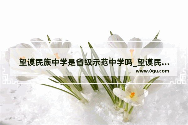 望谟民族中学是省级示范中学吗_望谟民族中学历任校长