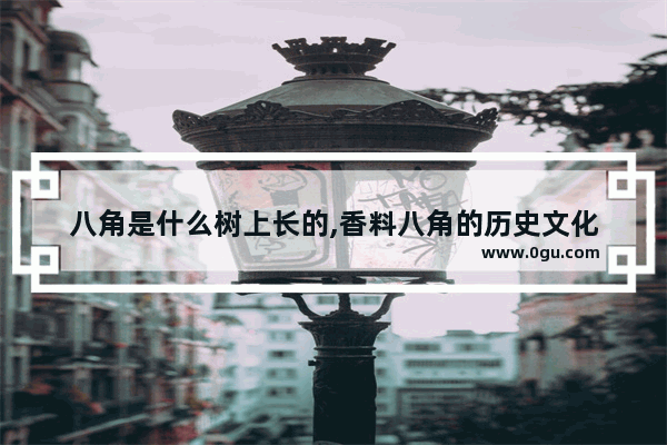 八角是什么树上长的,香料八角的历史文化