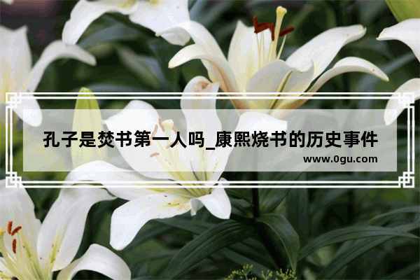 孔子是焚书第一人吗_康熙烧书的历史事件