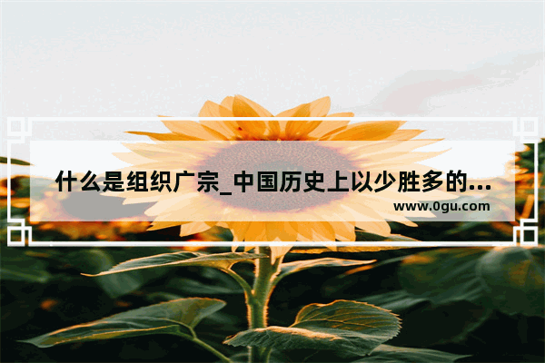 什么是组织广宗_中国历史上以少胜多的战役简介