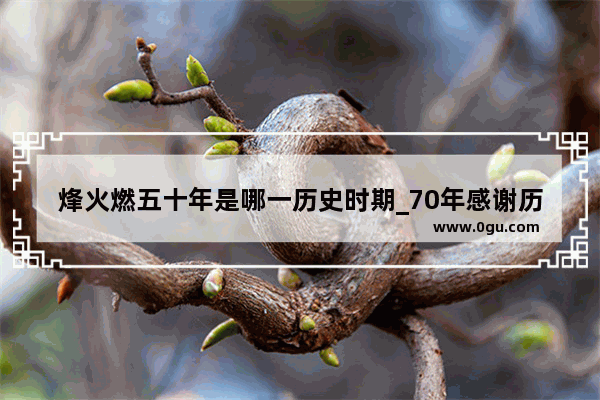 烽火燃五十年是哪一历史时期_70年感谢历史燃梦想下联