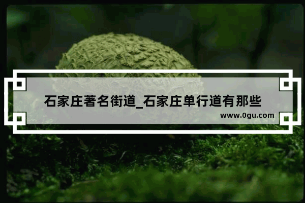 石家庄著名街道_石家庄单行道有那些