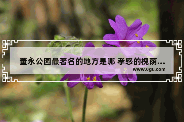 董永公园最著名的地方是哪 孝感的槐荫公园历史文化