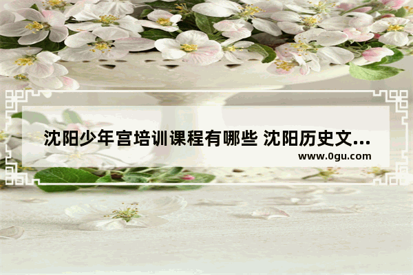 沈阳少年宫培训课程有哪些 沈阳历史文化幼儿绘画班