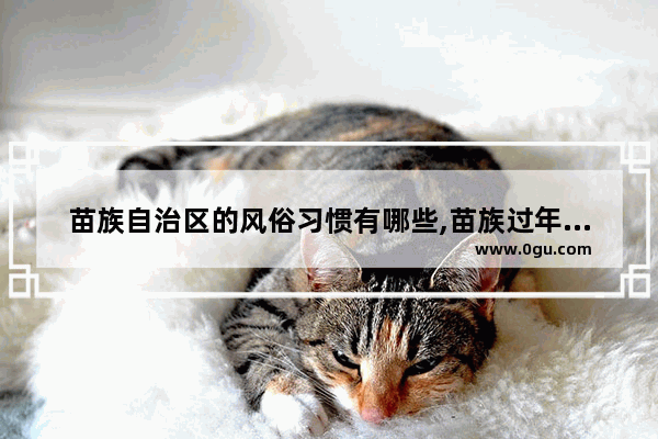 苗族自治区的风俗习惯有哪些,苗族过年习俗的寓意