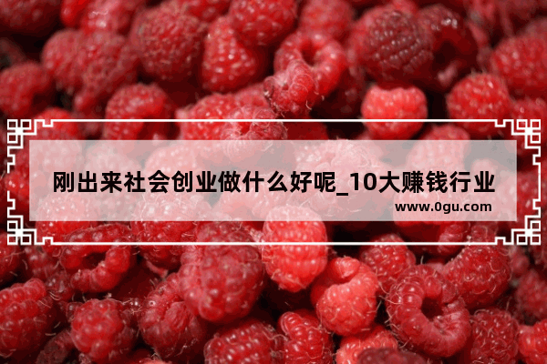 刚出来社会创业做什么好呢_10大赚钱行业