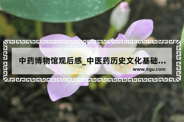 中药博物馆观后感_中医药历史文化基础心得