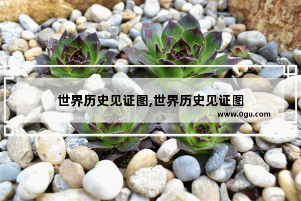 世界历史见证图,世界历史见证图