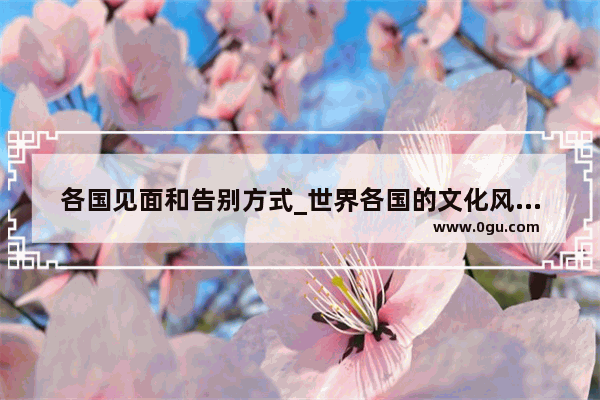 各国见面和告别方式_世界各国的文化风俗习惯有哪些