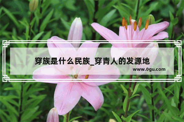 穿族是什么民族_穿青人的发源地