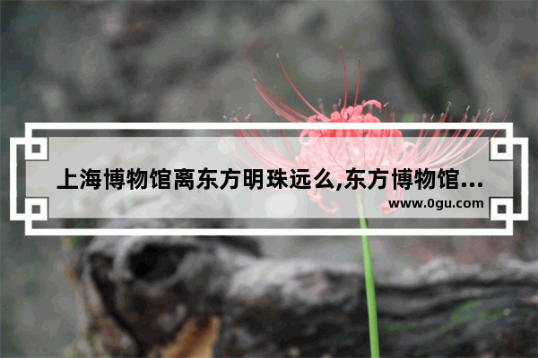 上海博物馆离东方明珠远么,东方博物馆的历史文化