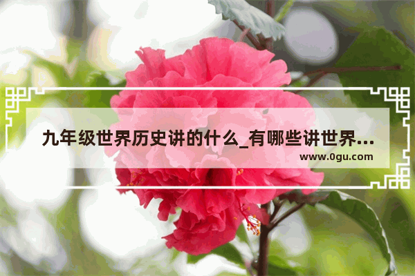 九年级世界历史讲的什么_有哪些讲世界历史和中国历史的好书