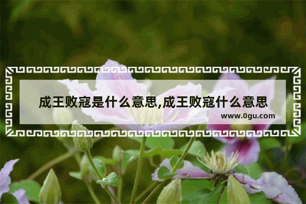成王败寇是什么意思,成王败寇什么意思