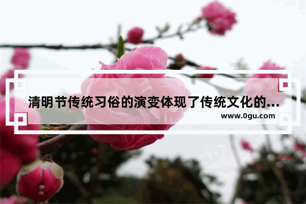 清明节传统习俗的演变体现了传统文化的什么特点_清明圆坟有什么讲究