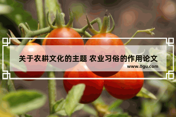 关于农耕文化的主题 农业习俗的作用论文