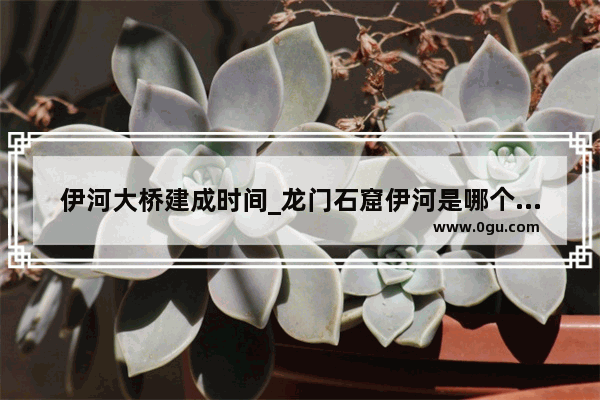 伊河大桥建成时间_龙门石窟伊河是哪个入口