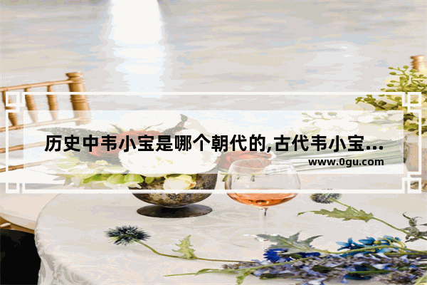 历史中韦小宝是哪个朝代的,古代韦小宝历史故事简介