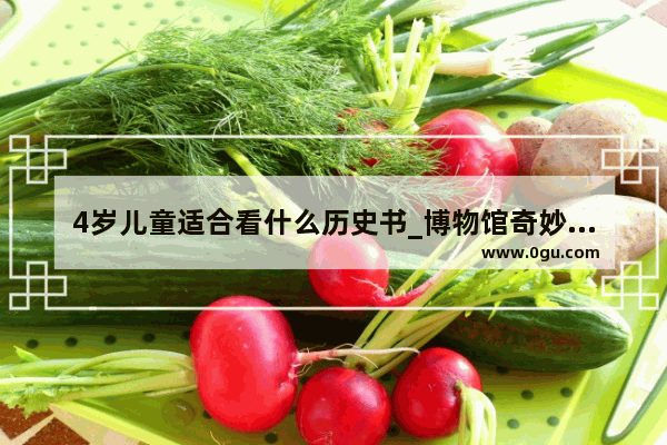 4岁儿童适合看什么历史书_博物馆奇妙夜适合几岁孩子看