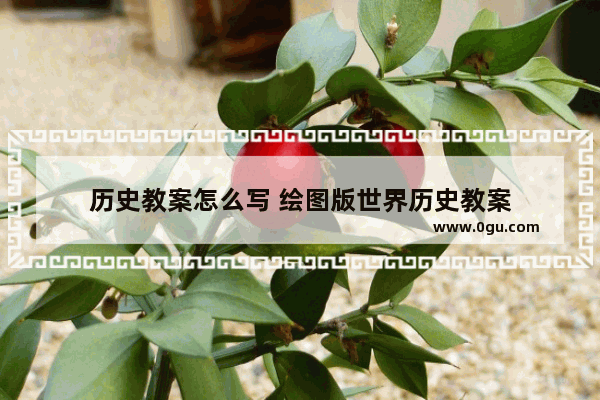 历史教案怎么写 绘图版世界历史教案