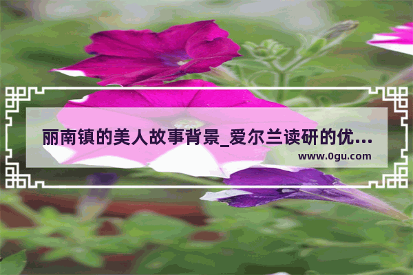 丽南镇的美人故事背景_爱尔兰读研的优缺点