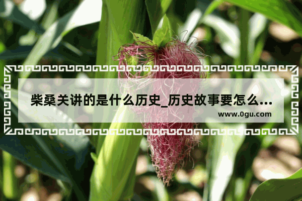 柴桑关讲的是什么历史_历史故事要怎么讲才好讲