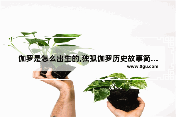 伽罗是怎么出生的,独孤伽罗历史故事简介英文