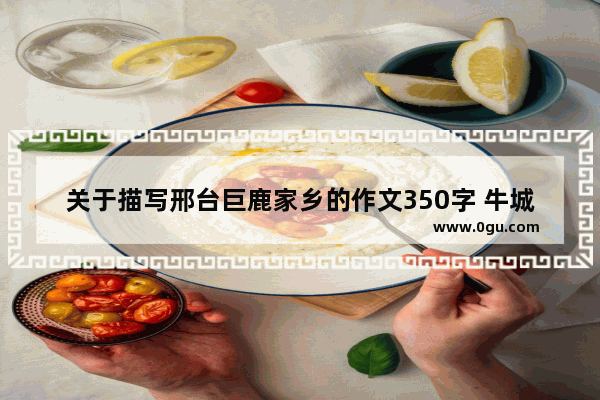 关于描写邢台巨鹿家乡的作文350字 牛城历史文化征文怎么写