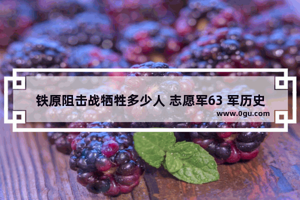 铁原阻击战牺牲多少人 志愿军63 军历史故事