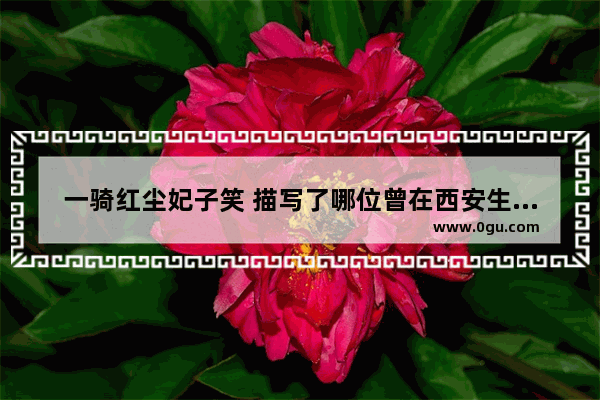 一骑红尘妃子笑 描写了哪位曾在西安生活的人物_历史上唐姓的名人有哪些