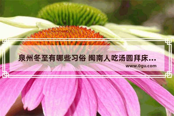 泉州冬至有哪些习俗 闽南人吃汤圆拜床母趣多多 泉州闽南有什么习俗